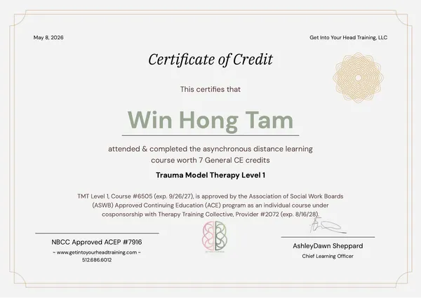 創傷模式治療 Level 1
